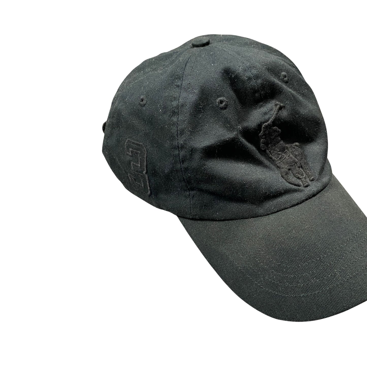 Ralph Lauren Cap (ONE SIZE)